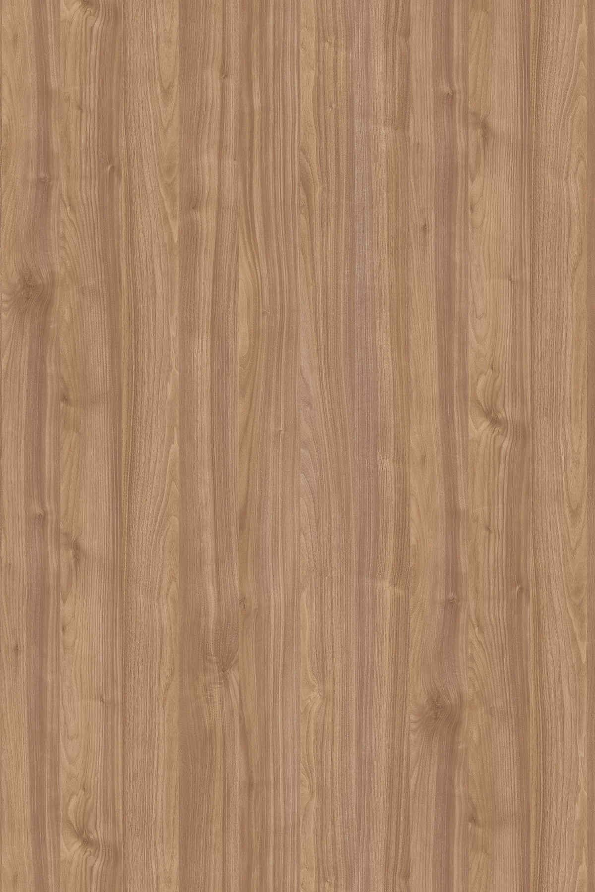 K008 K008 PW Light Select Walnut